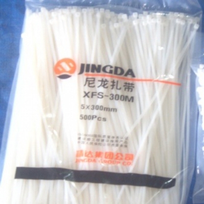 D&acirc;y th&iacute;t